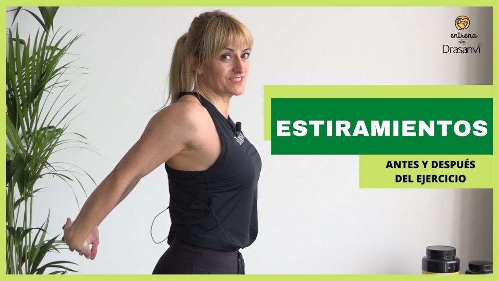 Estiramientos antes y después del ejercicio